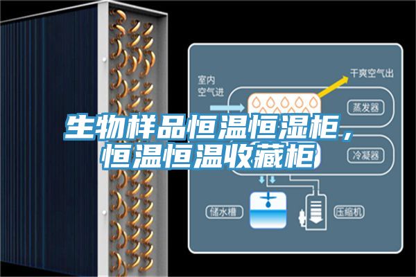 生物樣品恒溫恒濕櫃，恒溫恒溫收藏櫃