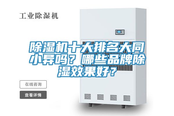 草莓视频污污污污十大排名大同小異嗎？哪些品牌除濕效果好？