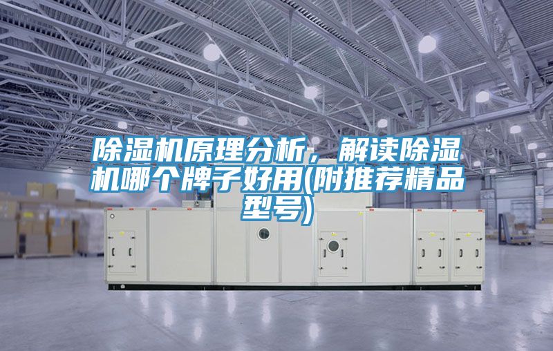 草莓视频污污污污原理分析，解讀草莓视频污污污污哪個牌子好用(附推薦精品型號)