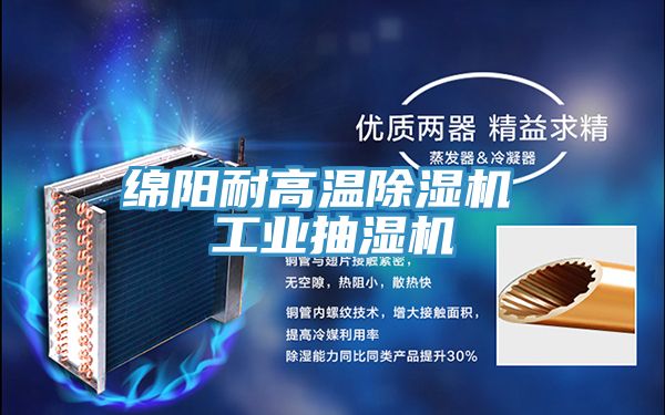 綿陽耐高溫草莓视频污污污污 工業抽濕機