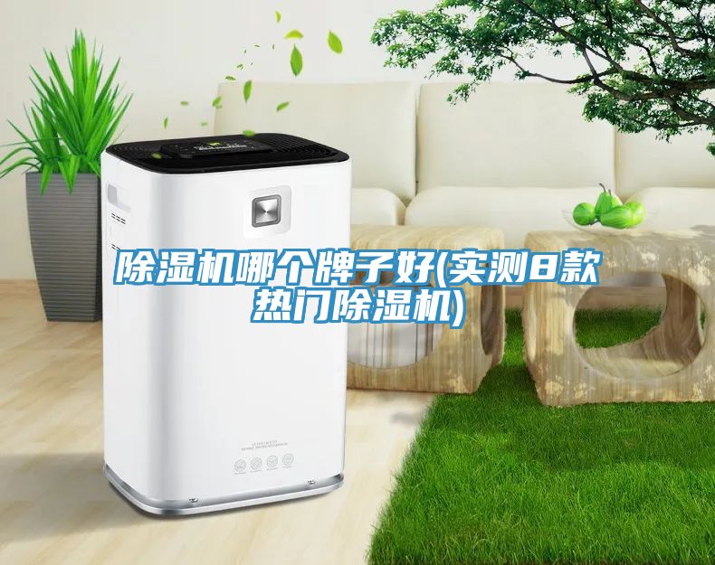 草莓视频污污污污哪個牌子好(實測8款熱門草莓视频污污污污)