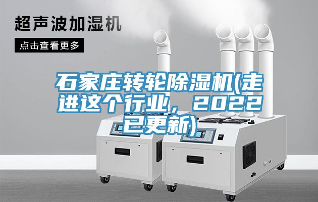 石家莊轉輪草莓视频污污污污(走進這個行業，2022已更新)