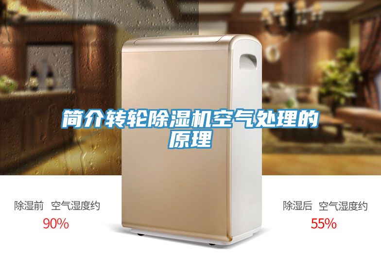 簡介轉輪草莓视频污污污污空氣處理的原理
