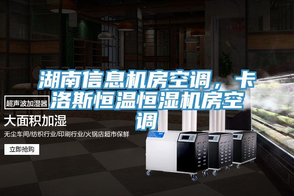 湖南信息機房空調，卡洛斯恒溫恒濕機房空調