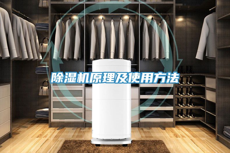 草莓视频污污污污原理及使用方法