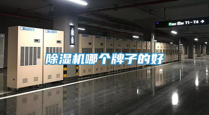 草莓视频污污污污哪個牌子的好