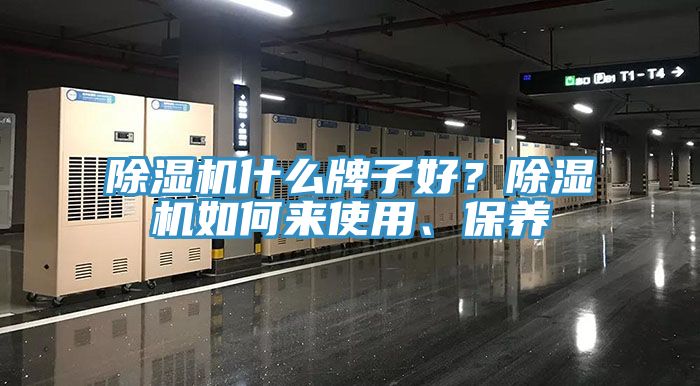 草莓视频污污污污什麽牌子好？草莓视频污污污污如何來使用、保養