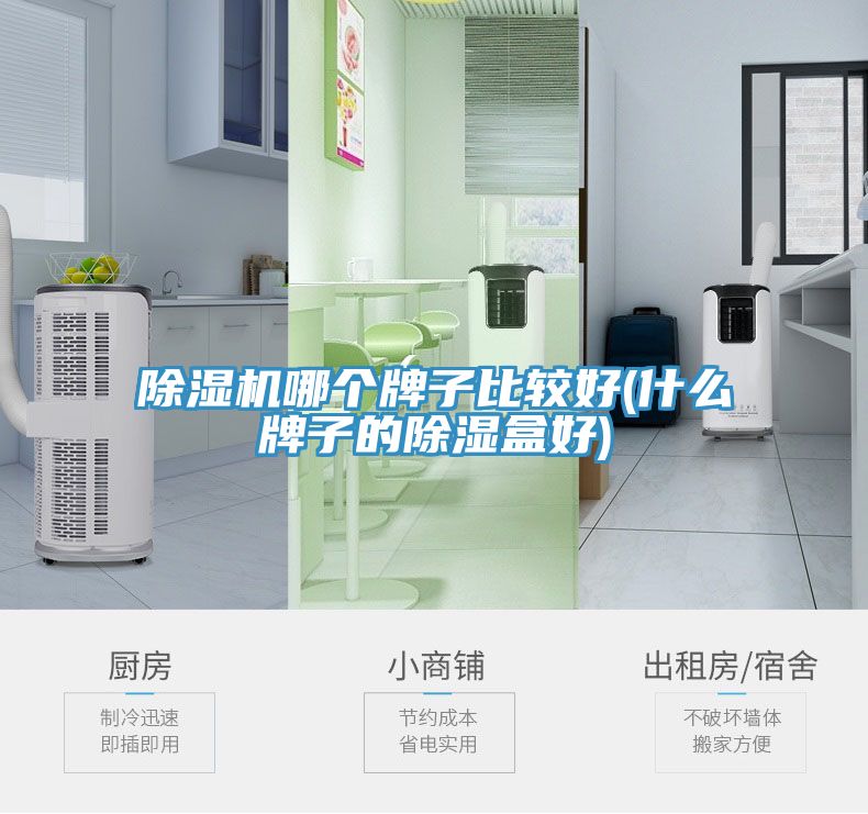 草莓视频污污污污哪個牌子比較好(什麽牌子的除濕盒好)
