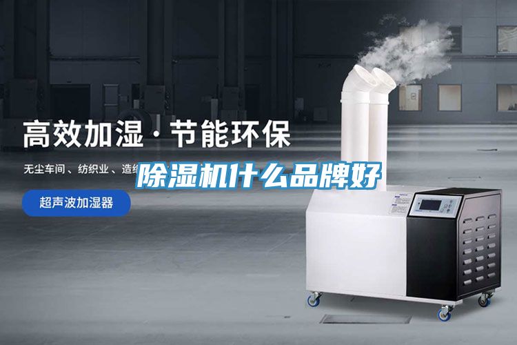 草莓视频污污污污什麽品牌好