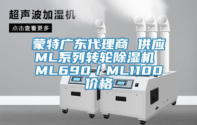 蒙特廣東代理商 供應ML係列轉輪草莓视频污污污污 ML690／ML1100價格