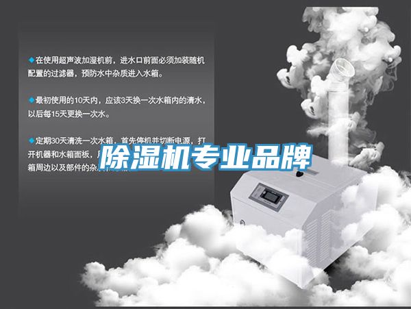 草莓视频污污污污專業品牌