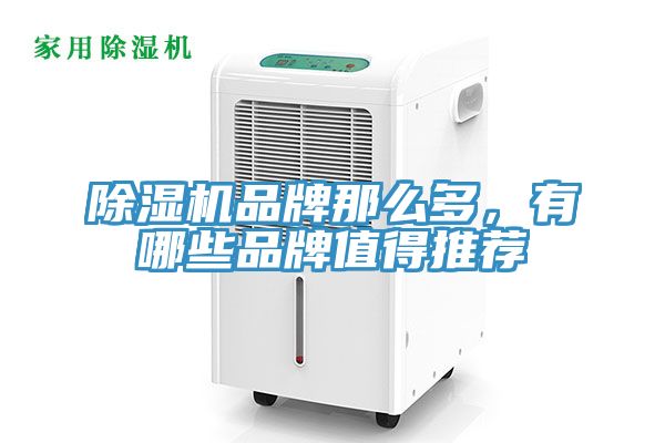 草莓视频污污污污品牌那麽多，有哪些品牌值得推薦