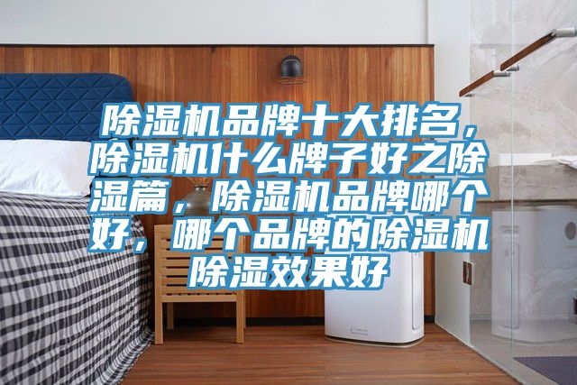 草莓视频污污污污品牌十大排名，草莓视频污污污污什麽牌子好之除濕篇，草莓视频污污污污品牌哪個好，哪個品牌的草莓视频污污污污除濕效果好