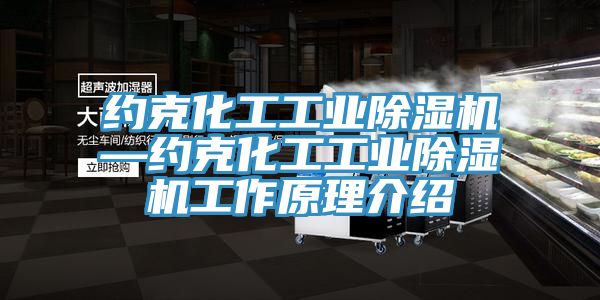 約克化工工業草莓视频污污污污—約克化工工業草莓视频污污污污工作原理介紹