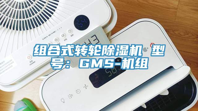 組合式轉輪草莓视频污污污污 型號：GMS-機組