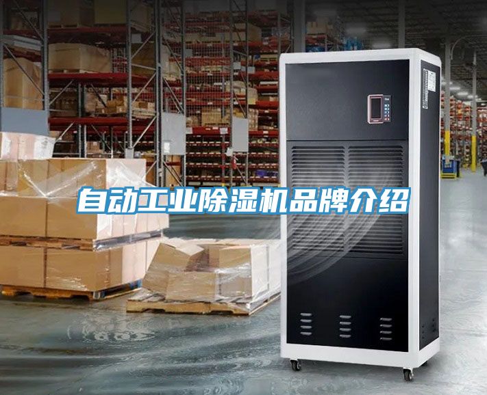 自動工業草莓视频污污污污品牌介紹