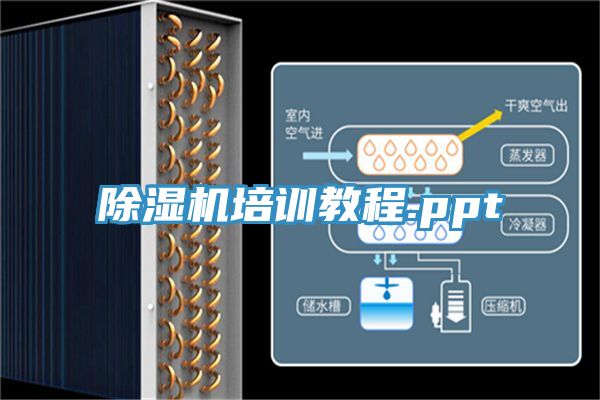 草莓视频污污污污培訓教程.ppt
