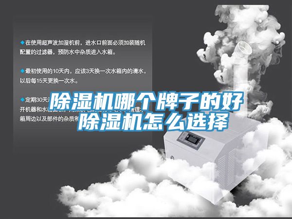 草莓视频污污污污哪個牌子的好 草莓视频污污污污怎麽選擇