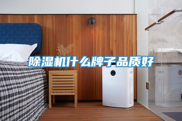 草莓视频污污污污什麽牌子品質好