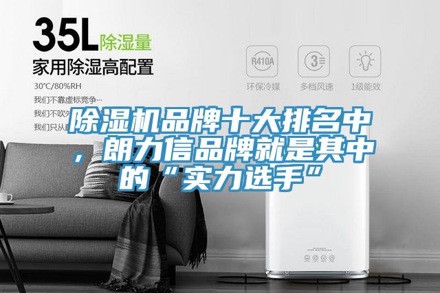 草莓视频污污污污品牌十大排名中，朗力信品牌就是其中的“實力選手”