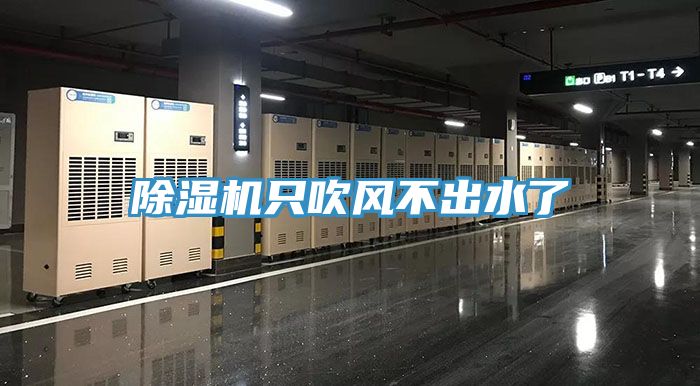 草莓视频污污污污隻吹風不出水了