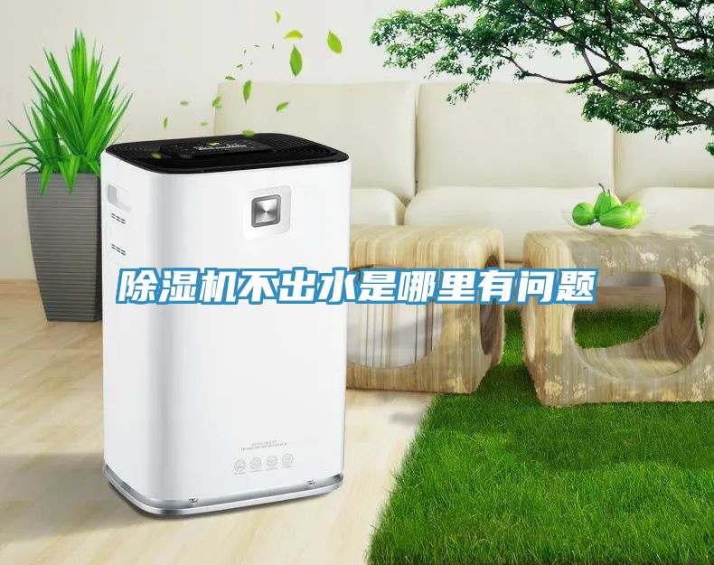草莓视频污污污污不出水是哪裏有問題