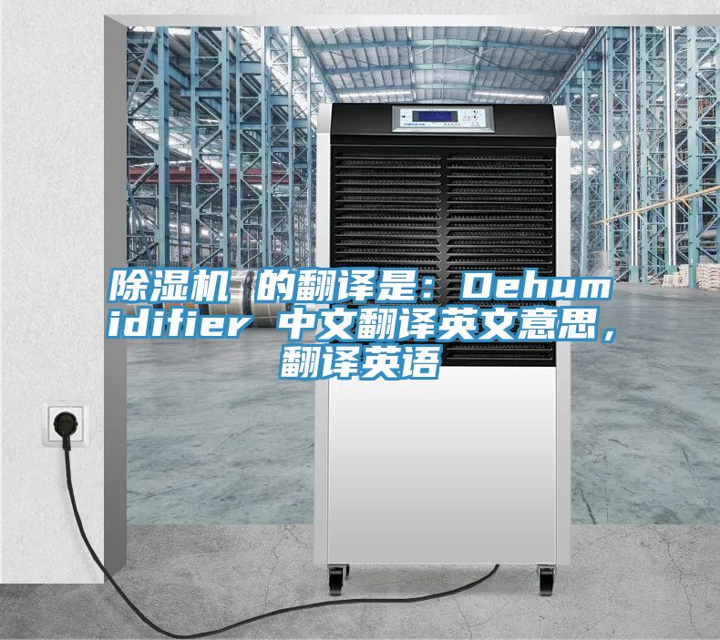 草莓视频污污污污 的翻譯是：Dehumidifier 中文翻譯英文意思，翻譯英語