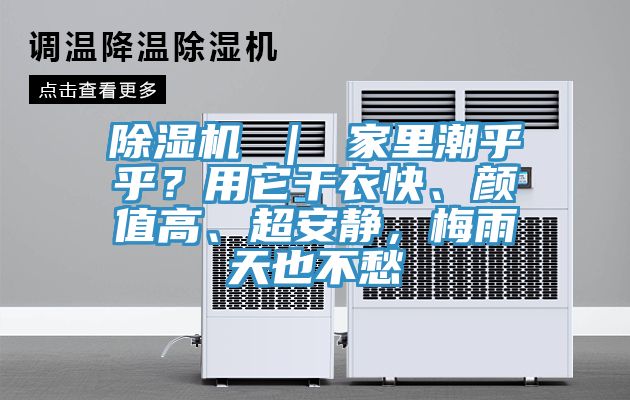 草莓视频污污污污 ｜ 家裏潮乎乎？用它幹衣快、顏值高、超安靜，梅雨天也不愁