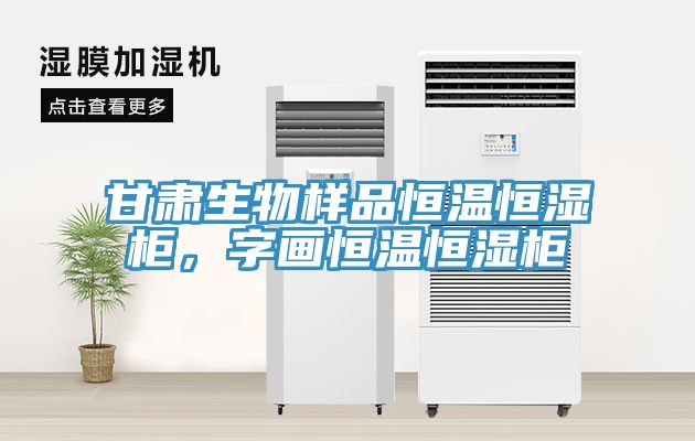 甘肅生物樣品恒溫恒濕櫃，字畫恒溫恒濕櫃
