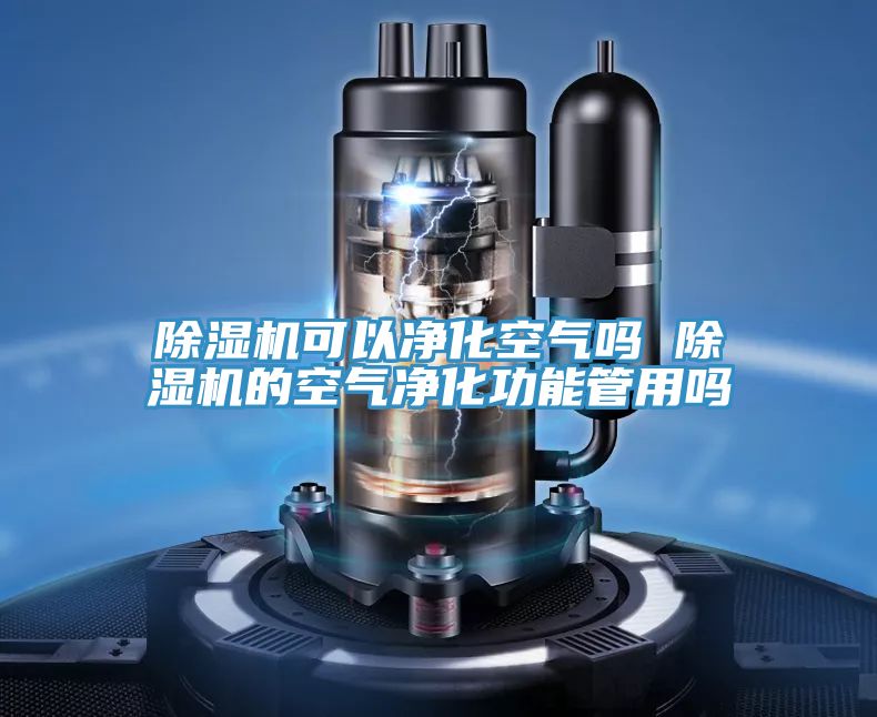 草莓视频污污污污可以淨化空氣嗎 草莓视频污污污污的空氣淨化功能管用嗎