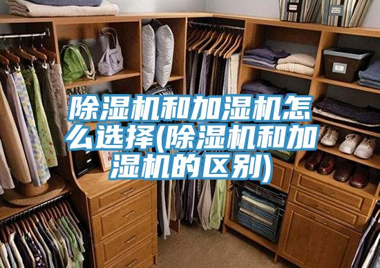 草莓视频污污污污和加濕機怎麽選擇(草莓视频污污污污和加濕機的區別)