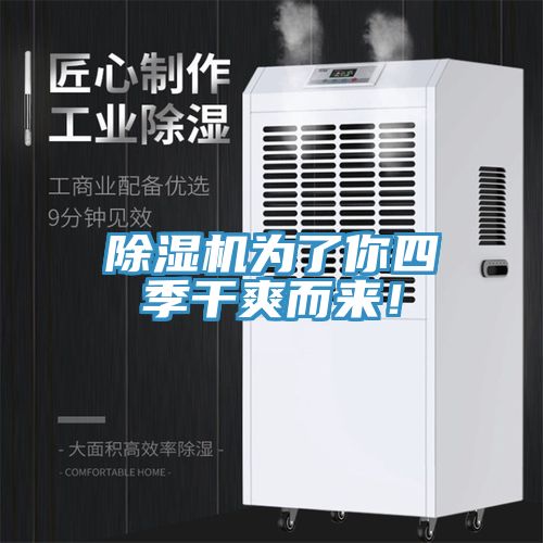 草莓视频污污污污為了你四季幹爽而來！