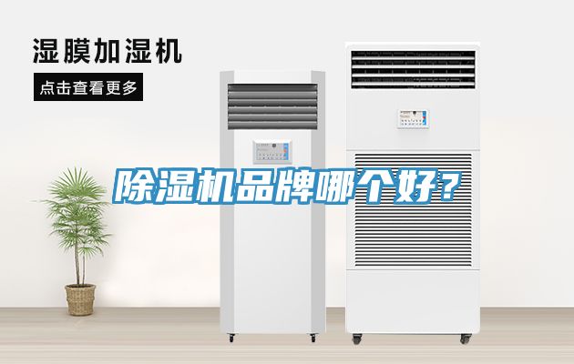 草莓视频污污污污品牌哪個好？