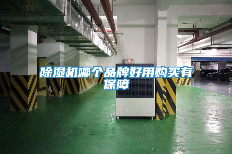 草莓视频污污污污哪個品牌好用購買有保障