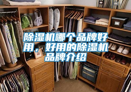 草莓视频污污污污哪個品牌好用，好用的草莓视频污污污污品牌介紹