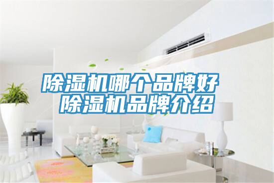 草莓视频污污污污哪個品牌好 草莓视频污污污污品牌介紹