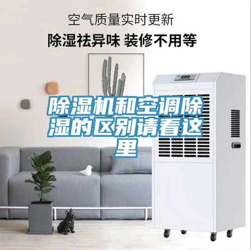 草莓视频污污污污和空調除濕的區別請看這裏