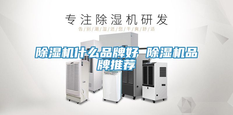草莓视频污污污污什麽品牌好 草莓视频污污污污品牌推薦