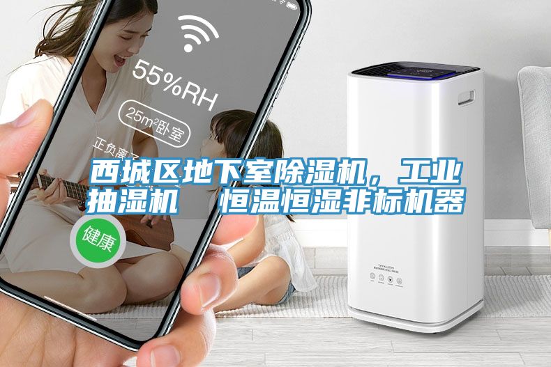 西城區地下室草莓视频污污污污，工業抽濕機  恒溫恒濕非標機器