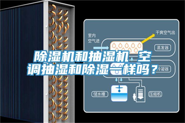 草莓视频污污污污和抽濕機 空調抽濕和除濕一樣嗎？
