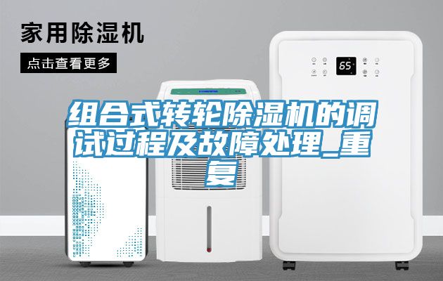 組合式轉輪草莓视频污污污污的調試過程及故障處理_重複