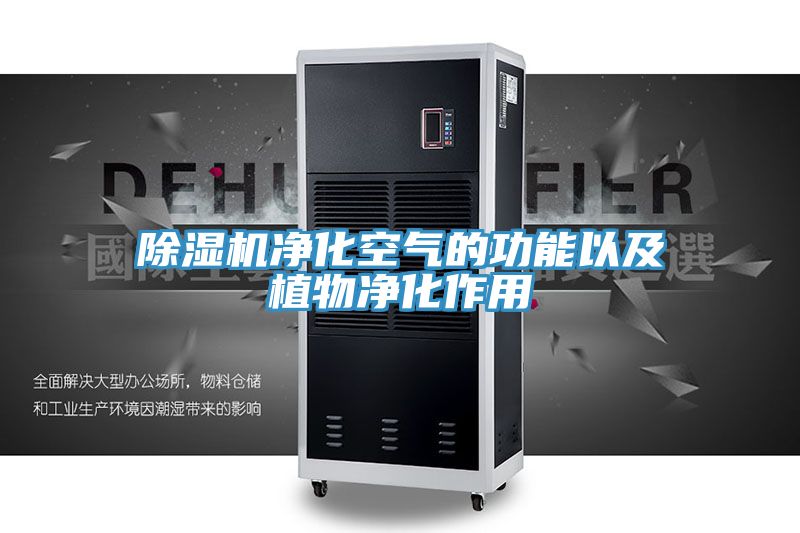草莓视频污污污污淨化空氣的功能以及植物淨化作用