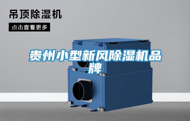 貴州小型新風草莓视频污污污污品牌