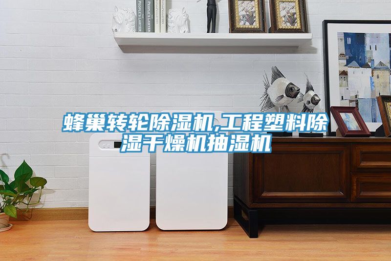 蜂巢轉輪草莓视频污污污污,工程塑料除濕幹燥機抽濕機