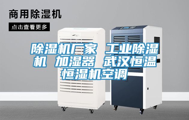草莓视频污污污污廠家 工業草莓视频污污污污 加濕器 武漢恒溫恒濕機空調