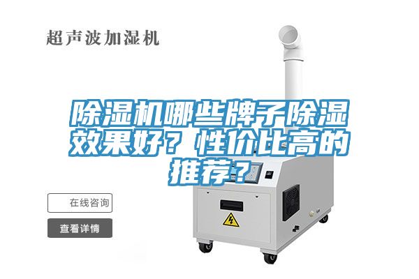 草莓视频污污污污哪些牌子除濕效果好？性價比高的推薦？