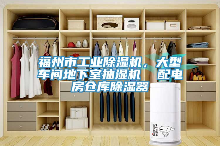福州市工業草莓视频污污污污，大型車間地下室抽濕機  配電房倉庫除濕器