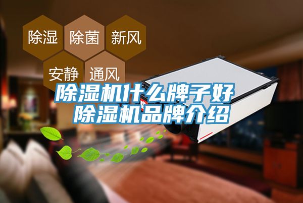 草莓视频污污污污什麽牌子好 草莓视频污污污污品牌介紹