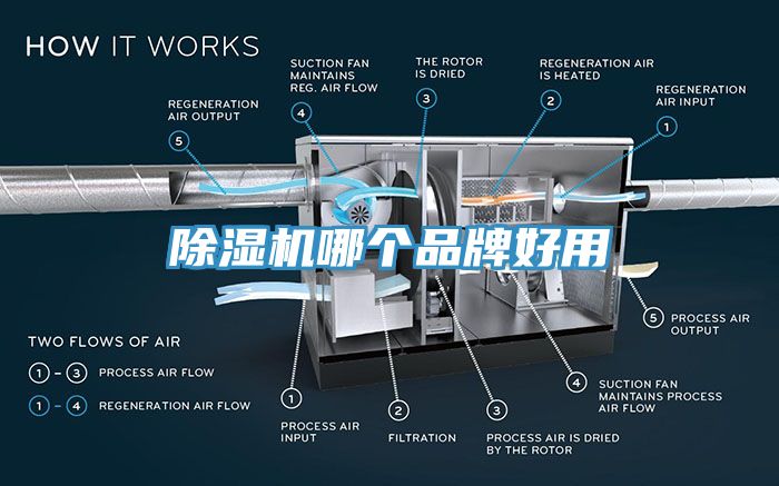 草莓视频污污污污哪個品牌好用