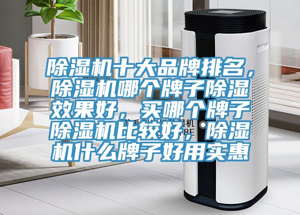 草莓视频污污污污十大品牌排名，草莓视频污污污污哪個牌子除濕效果好，買哪個牌子草莓视频污污污污比較好，草莓视频污污污污什麽牌子好用實惠
